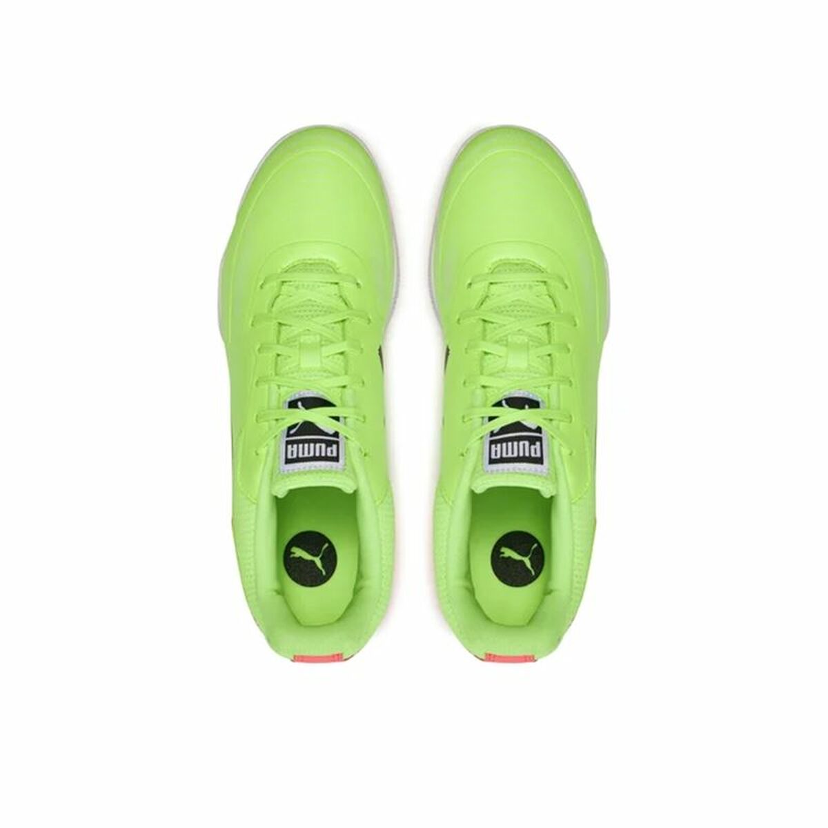 Chaussures de Futsal pour Adultes Puma Truco III Vert