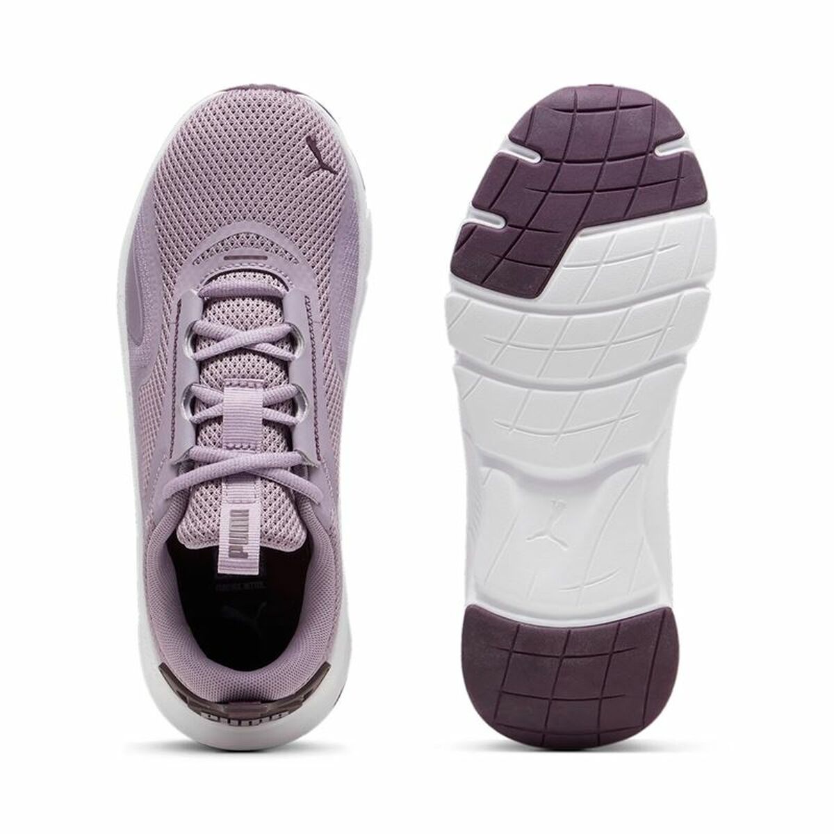 Chaussures de Running pour Adultes Puma Flexfocus Lite Lavande