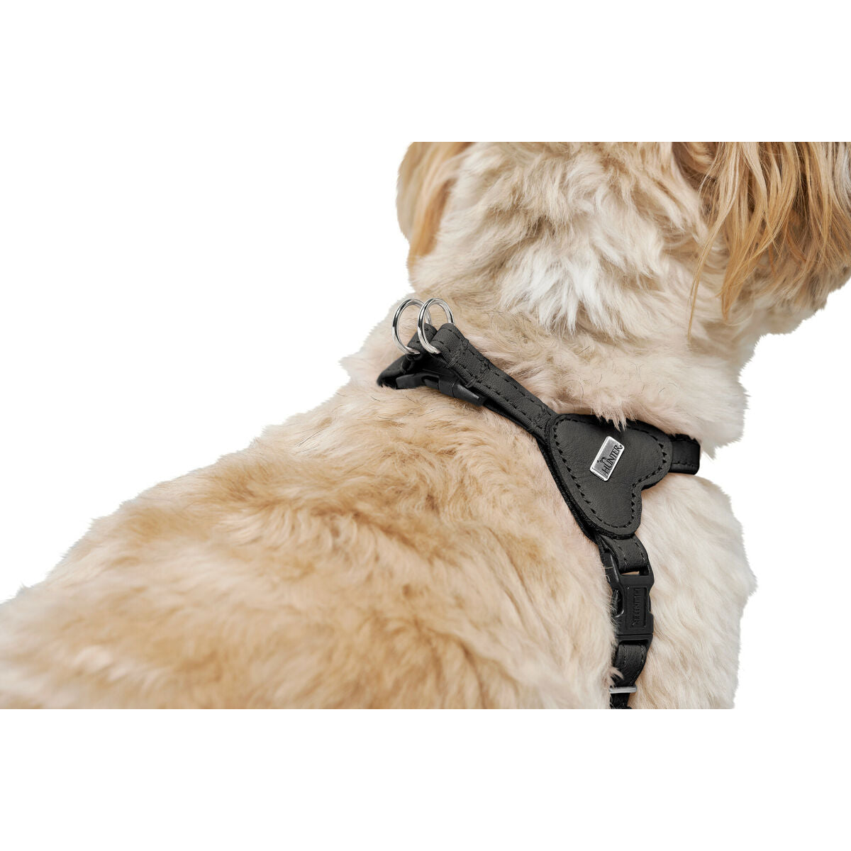 Harnais pour Chien Hunter SOHO MINI Noir XS