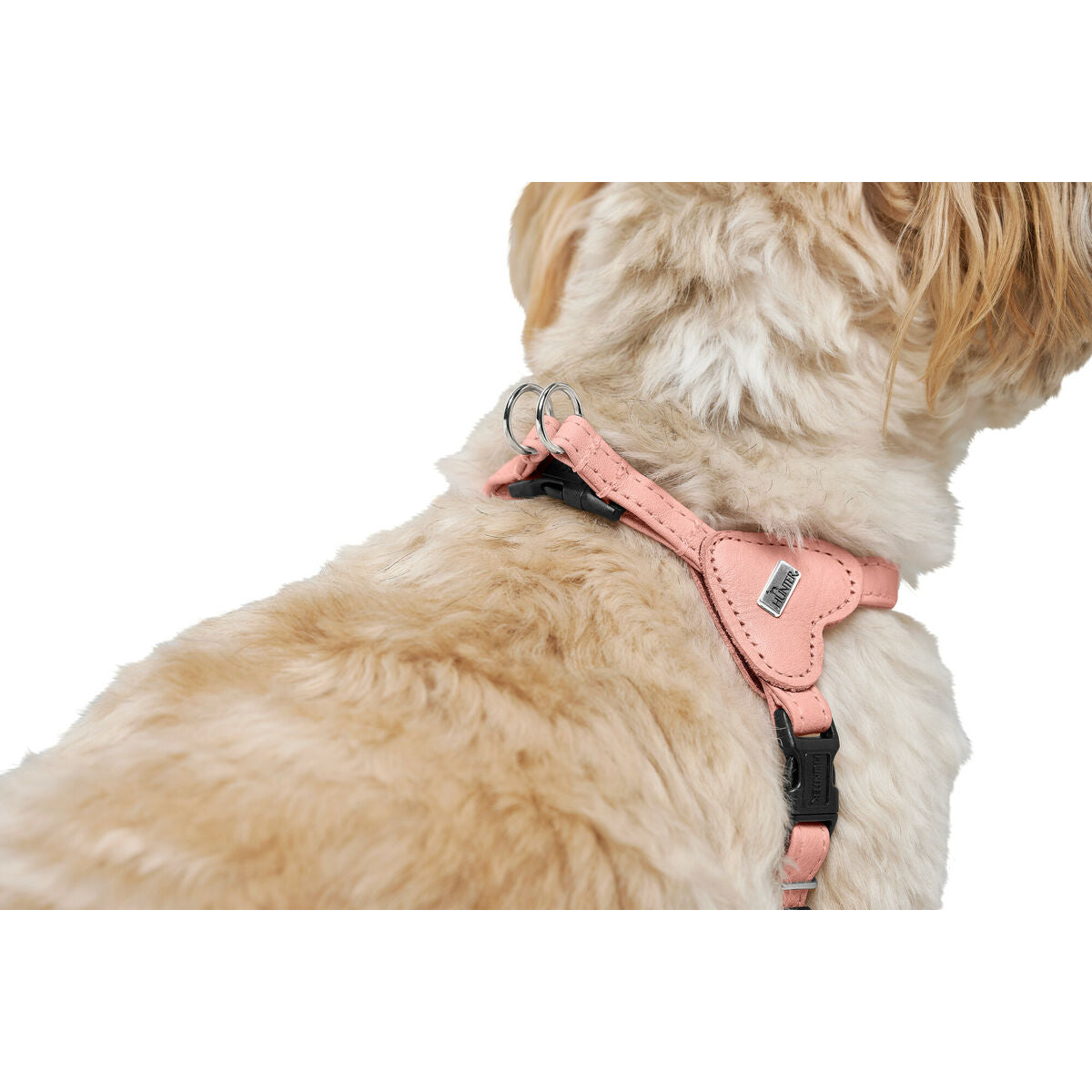 Harnais pour Chien Hunter SOHO MINI Rose