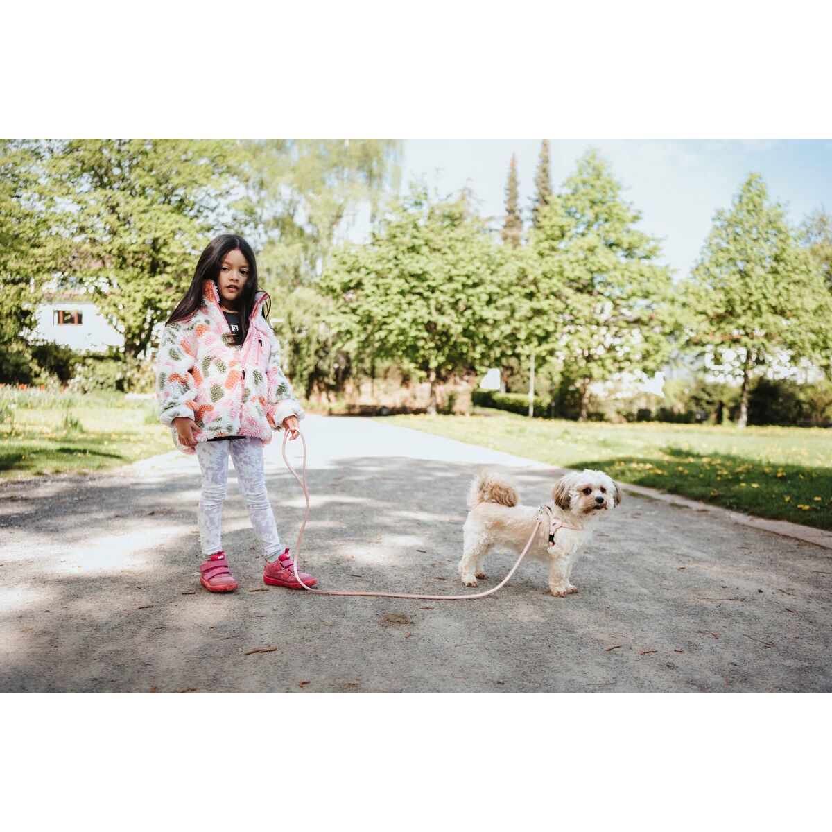 Harnais pour Chien Hunter SOHO MINI Rose XS