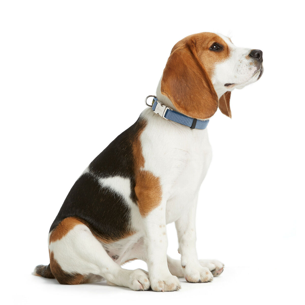 Collier pour Chien Hunter VARIO BASIC Bleu XL 45-65 cm