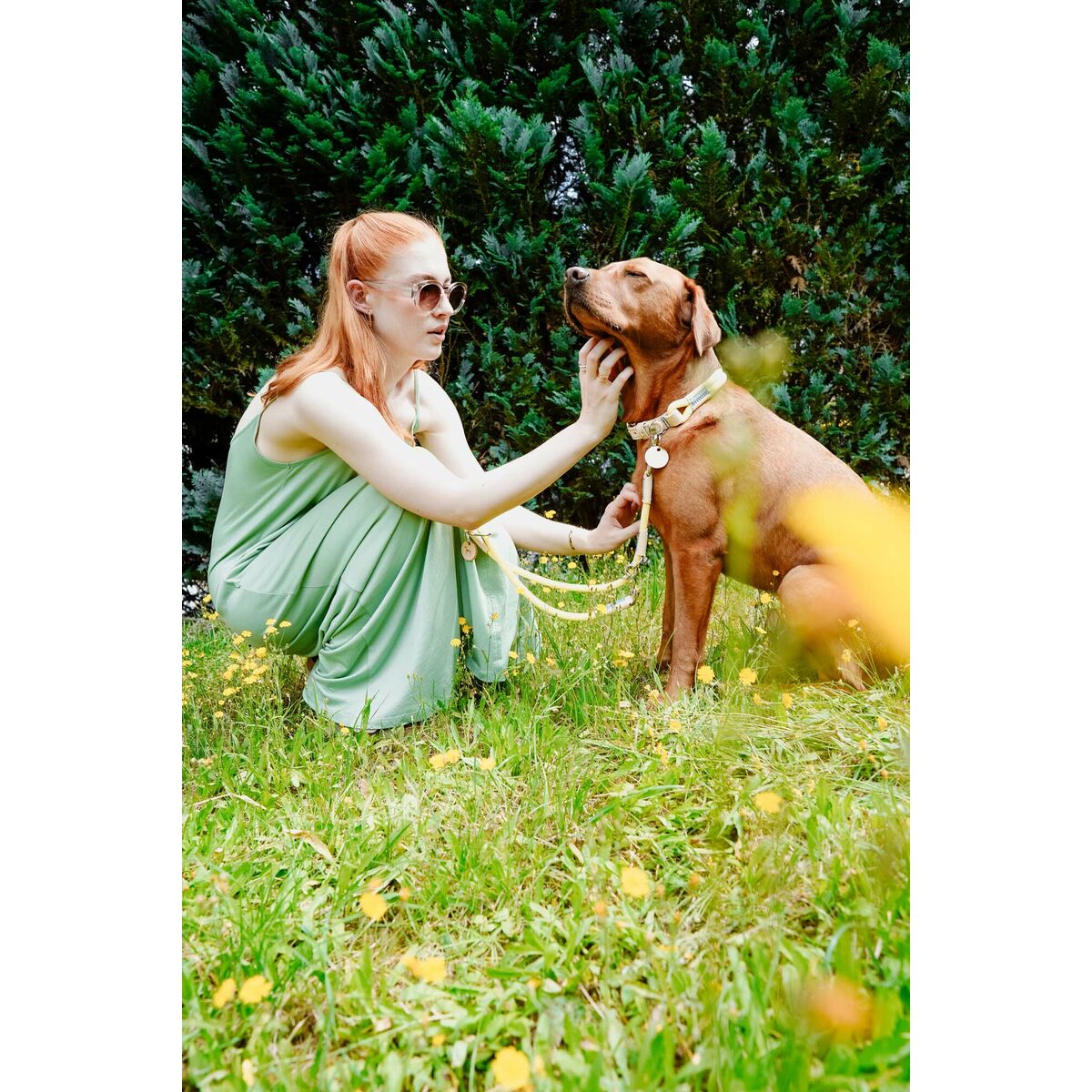 Collier pour Chien Hunter Malia Citron S/M 35-44 cm