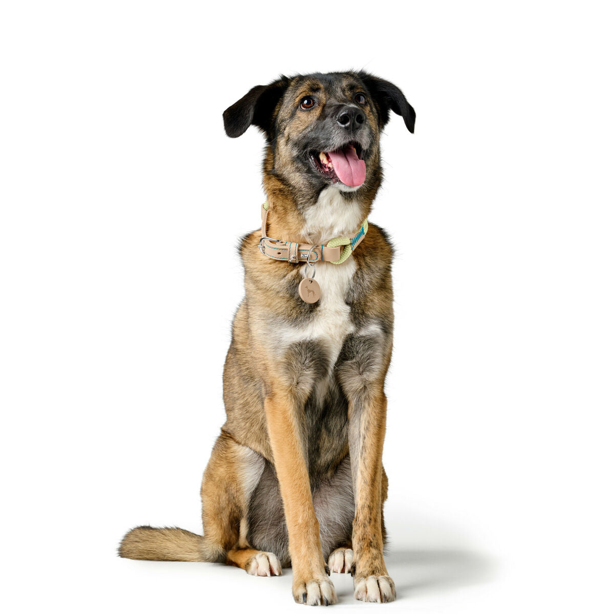 Collier pour Chien Hunter MALIA Vert L 50-59 cm