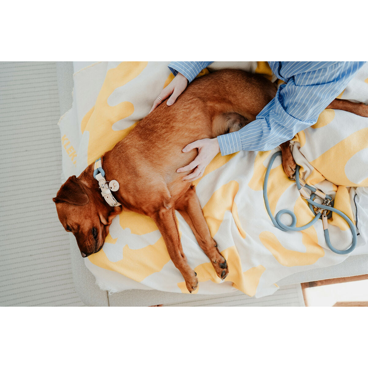 Collier pour Chien Hunter MALIA M Bleu 12 40-49 cm