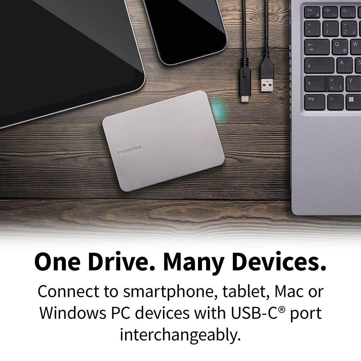 Disque Dur Externe Toshiba HDTX210ESCAA 1 TB HDD Argenté Magnétique