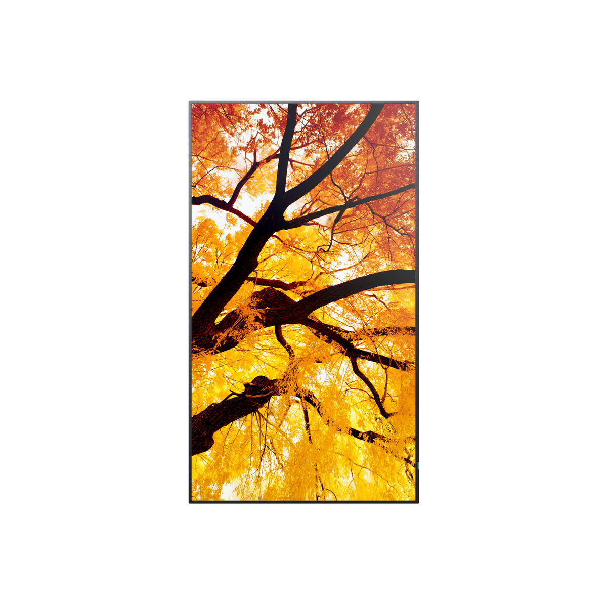 Moniteur Videowall Sharp 60006052 Full HD 32"