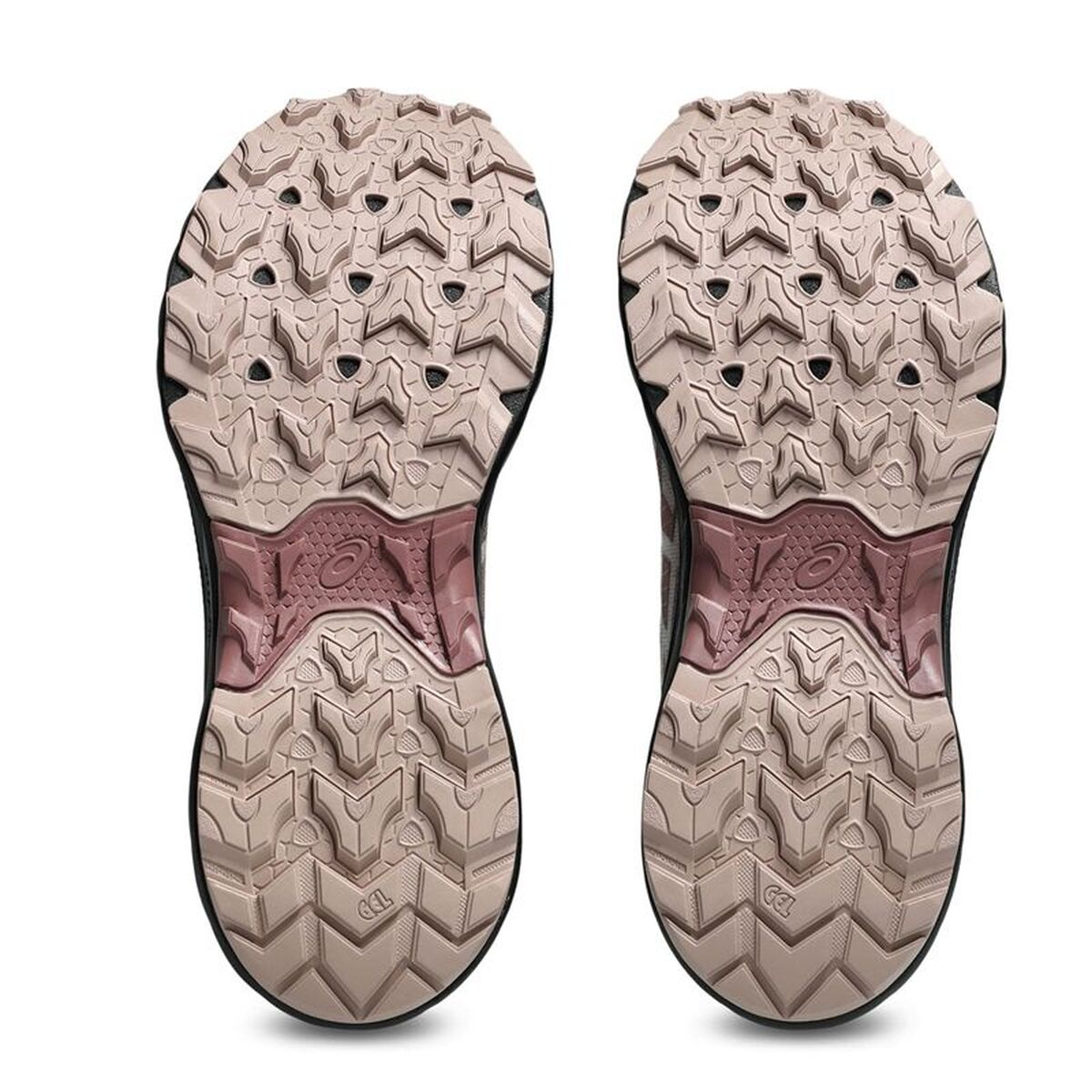 Chaussures de trail pour femmes Asics Gel-Venture 10 Marron