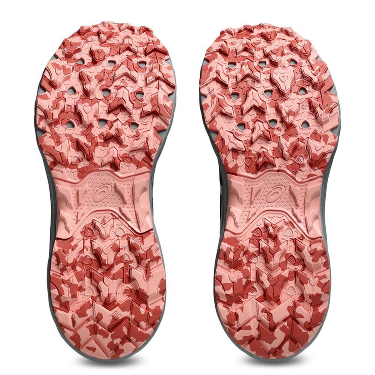 Chaussures de trail pour femmes Asics Gel-Venture 10 Bleu