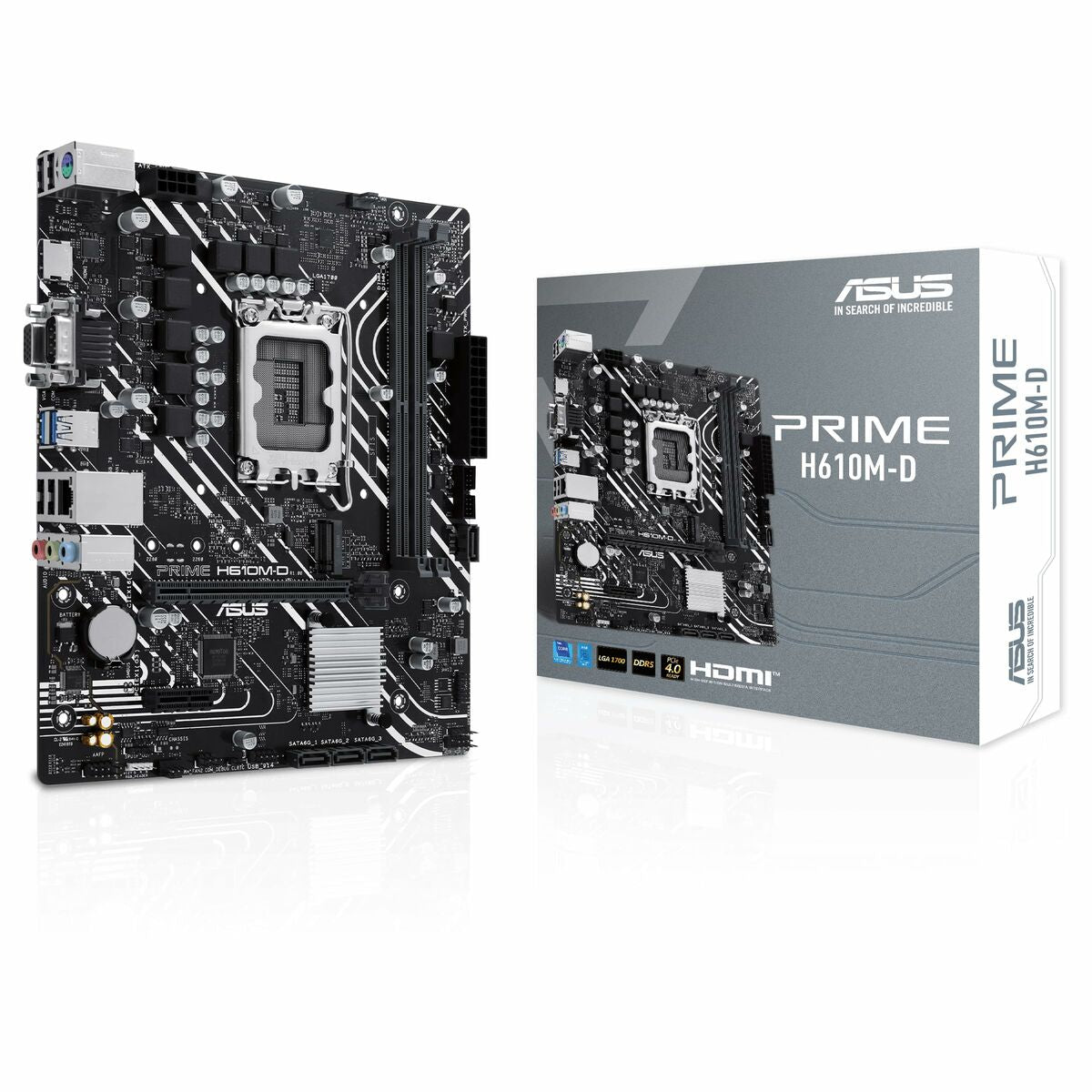 Carte Mère Asus PRIME H610M-D H610 LGA 1700