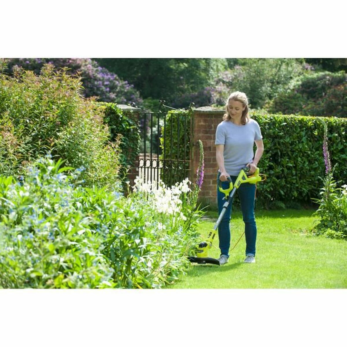 Tondeuse Électrique Ryobi RLT1831H25F 18 V