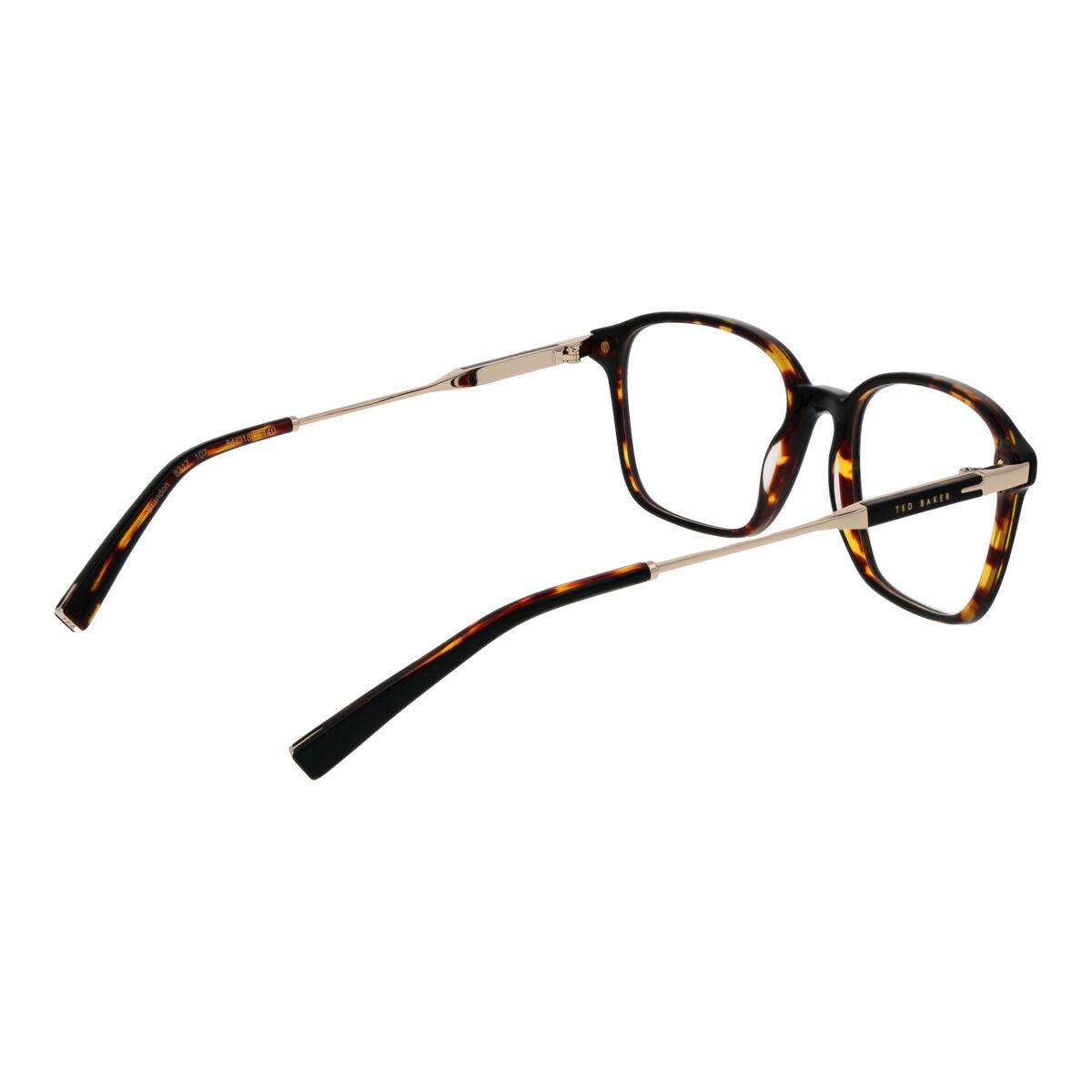 Monture de Lunettes Homme Ted Baker TB8317 54107