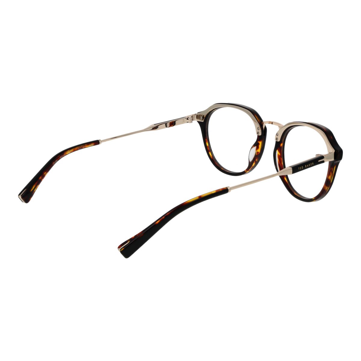 Monture de Lunettes Homme Ted Baker TB8318 52107