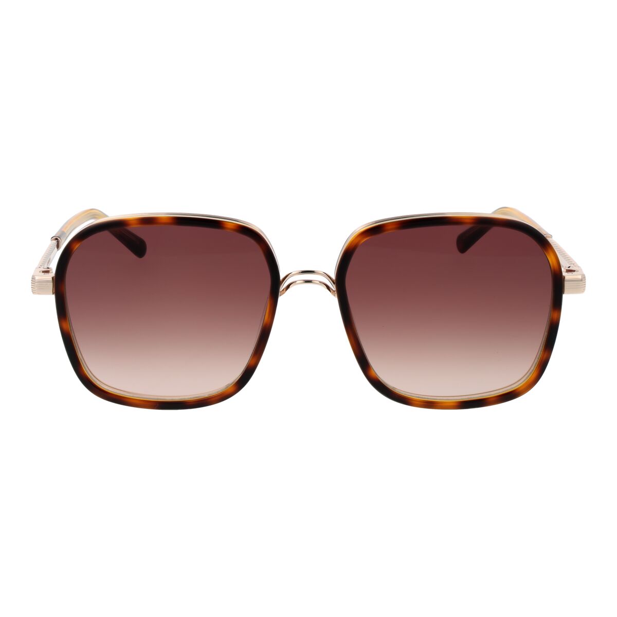 Lunettes de soleil Femme Sandro Paris SD6050 54170