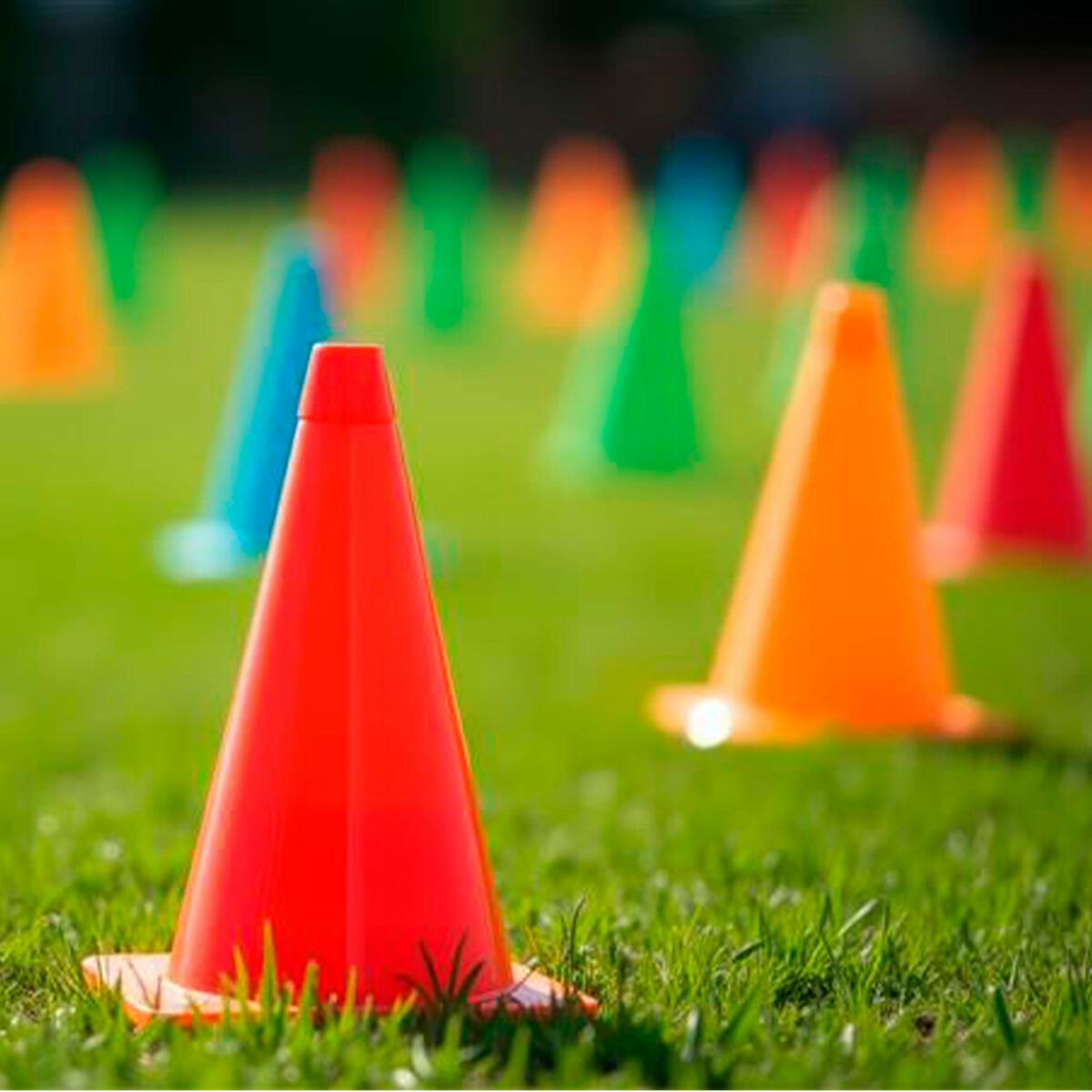 Cônes Aktive (6 Unités)