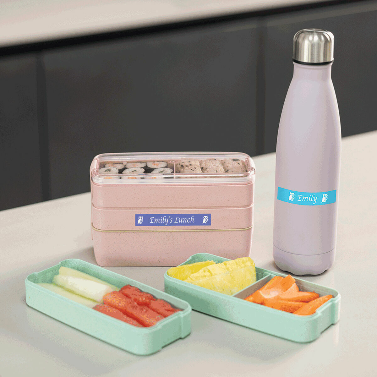 Chargeur + Piles Rechargeables Brother PTN25BTQL1 Blanc