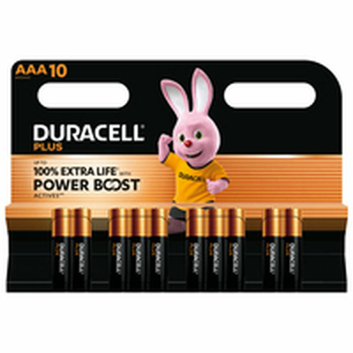Piles Rechargeables DURACELL DPBLR3B10 1,5 V AAA