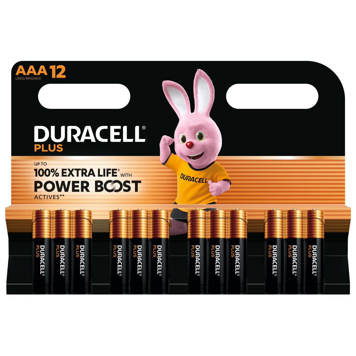 Piles Rechargeables DURACELL DPBLR3B12 1,5 V AAA