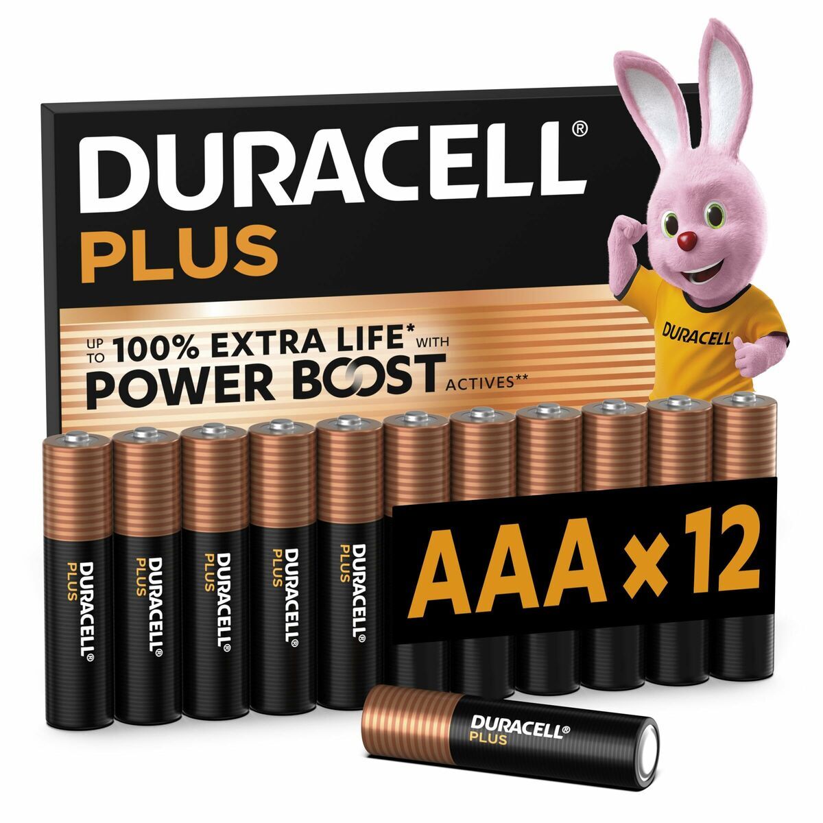 Piles Rechargeables DURACELL DPBLR3B12 1,5 V AAA
