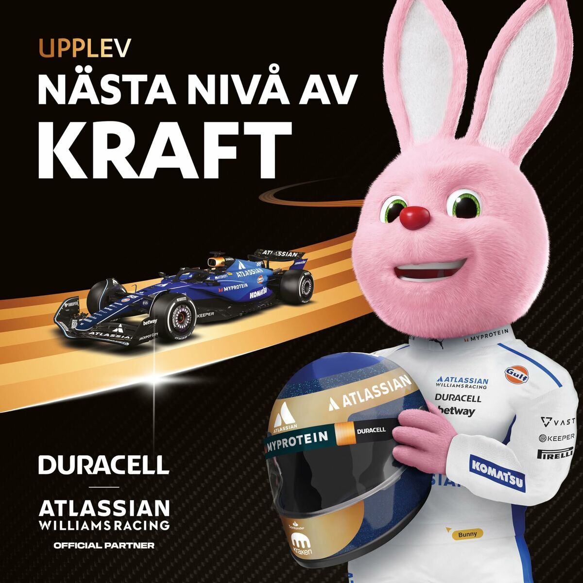 Piles Rechargeables DURACELL DPBLR3B12 1,5 V AAA