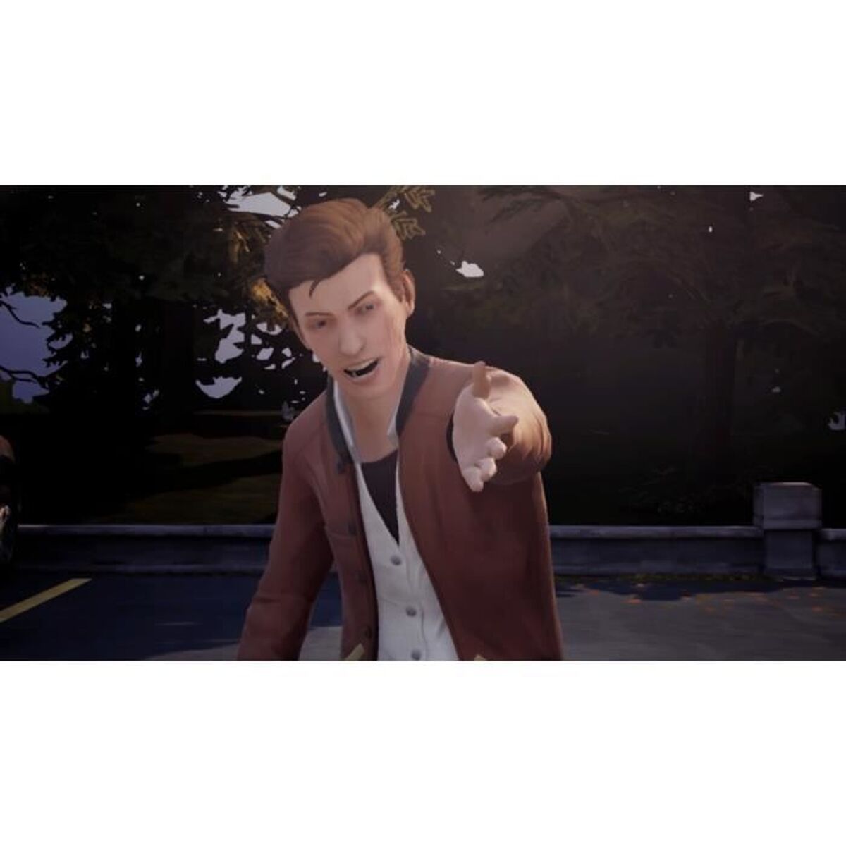 Jeu vidéo pour Switch Square Enix Life is Strange Arcadia Bay Collection