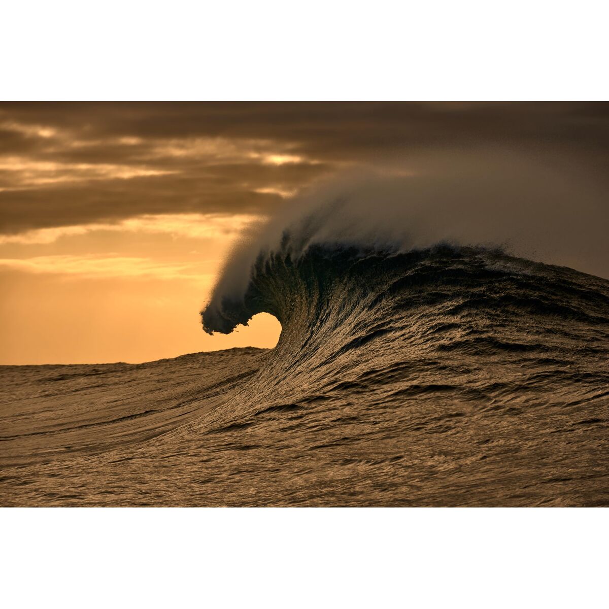 Monture de Lunettes Femme O'Neill ONB-4031 52107