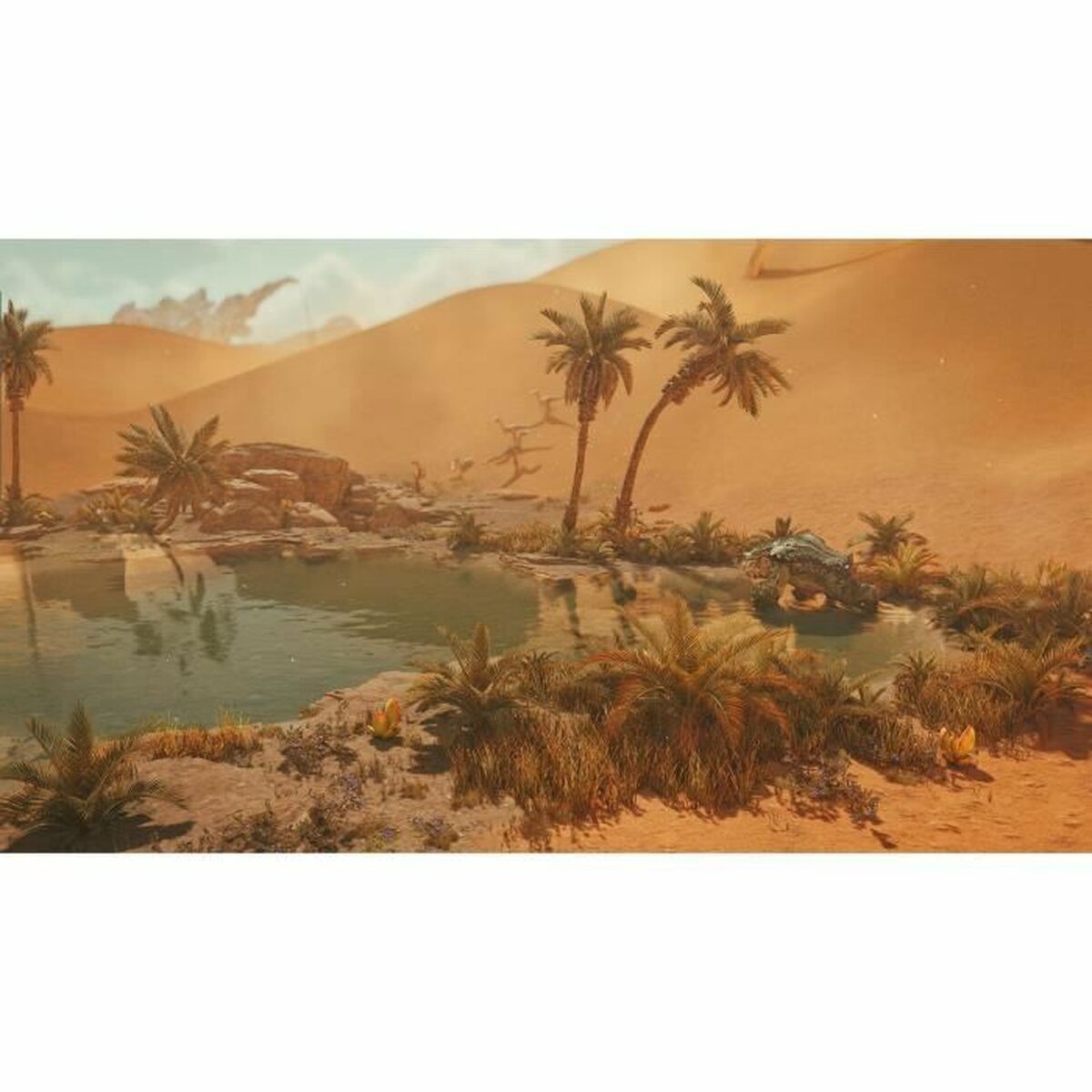 Jeu vidéo PlayStation 5 Capcom Monster Hunter Wilds