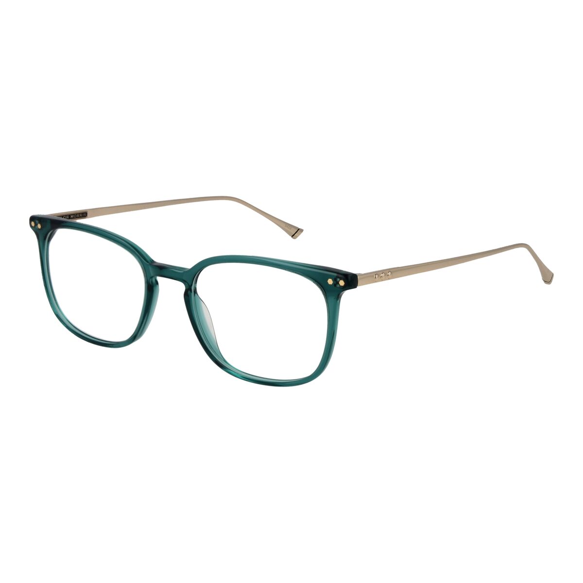 Monture de Lunettes Unisexe Taylor Morris TM06 49C4