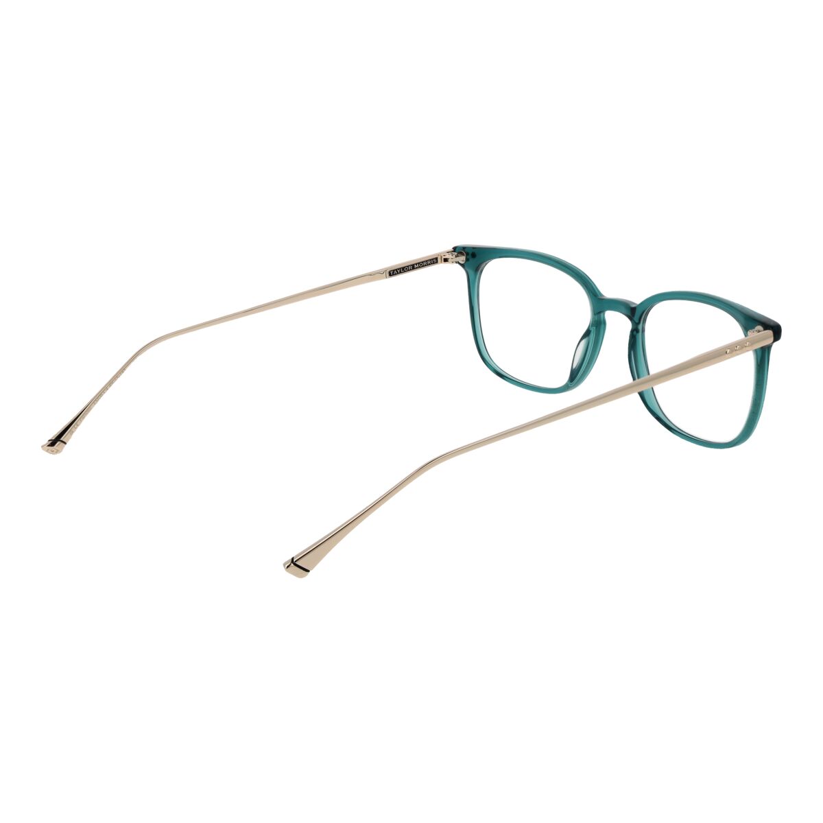 Monture de Lunettes Unisexe Taylor Morris TM06 49C4
