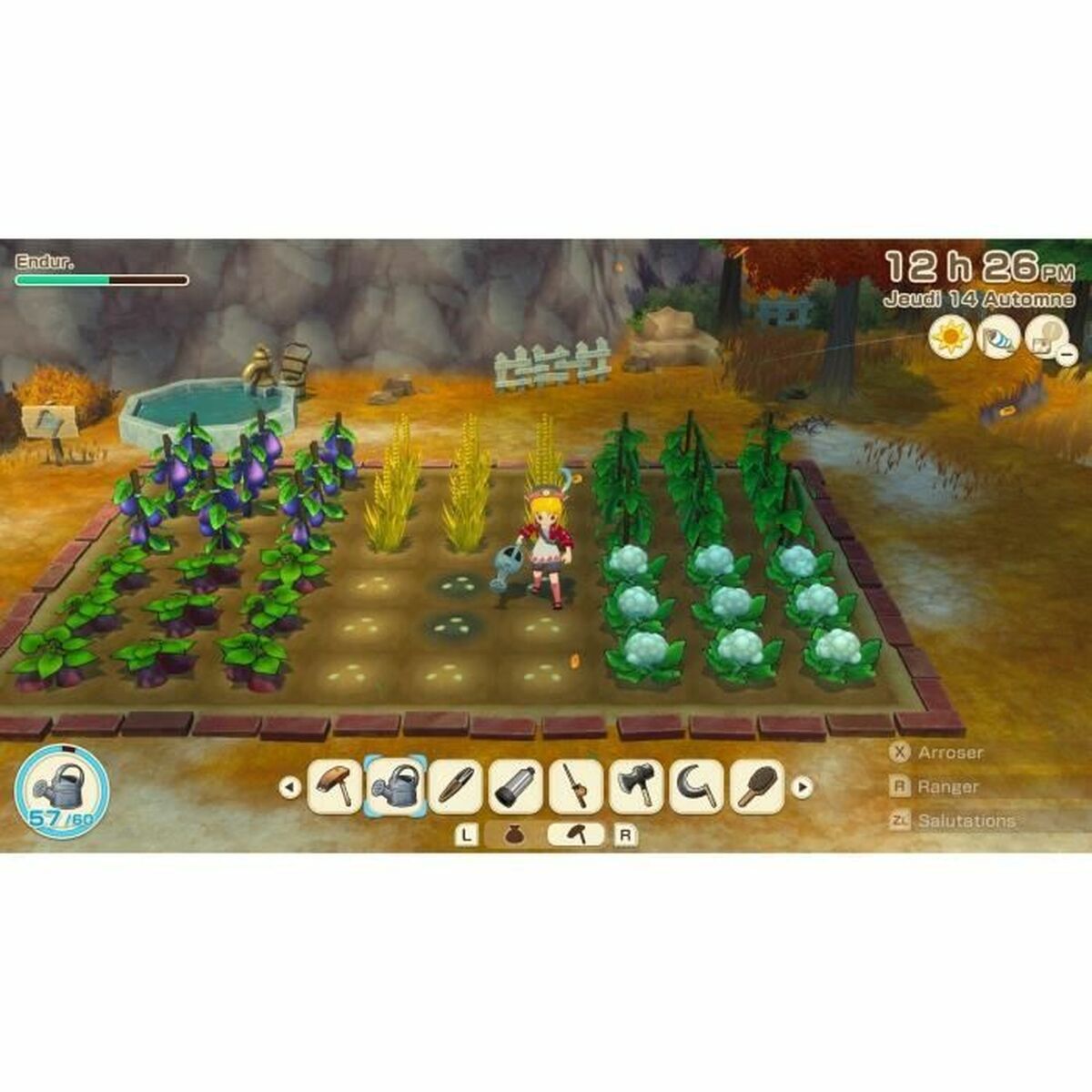 Jeu vidéo pour Switch Just For Games Story of Seasons Grand Bazaar : Limited Edition