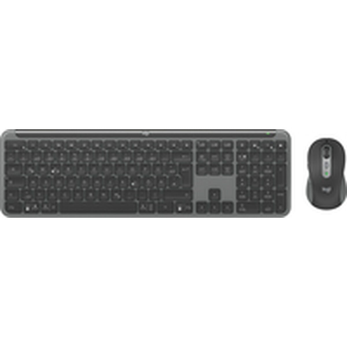 clavier et souris Logitech 920-012504 Graphite Allemand QWERTZ