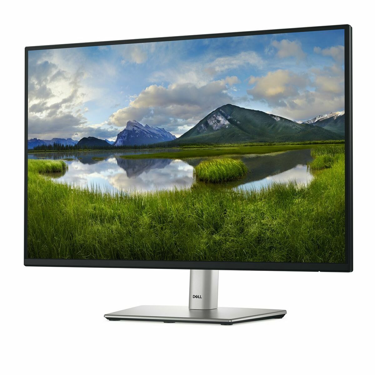 Écran Dell DELL-P2425E 24" WUXGA