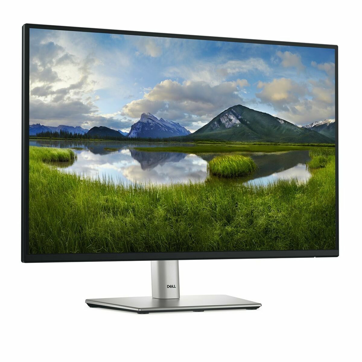 Écran Dell DELL-P2425E 24" WUXGA