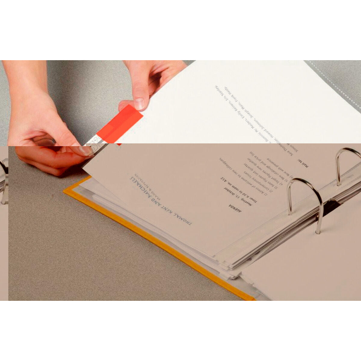 Dossier Esselte Multicouleur