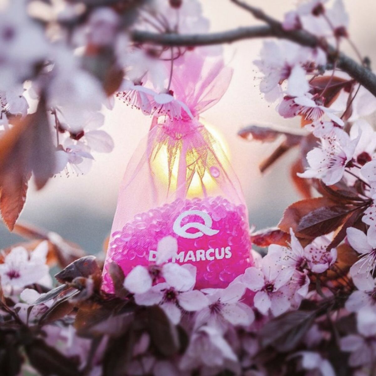 Désodorisant Pour Voiture Dr Marcus Fresh Bag Chewing gum Parfum Pochette