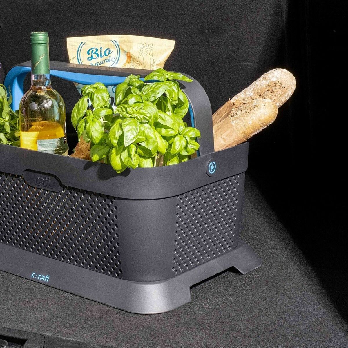 Panier pour le coffre de la voiture Armster V01762 Bleu Plastique