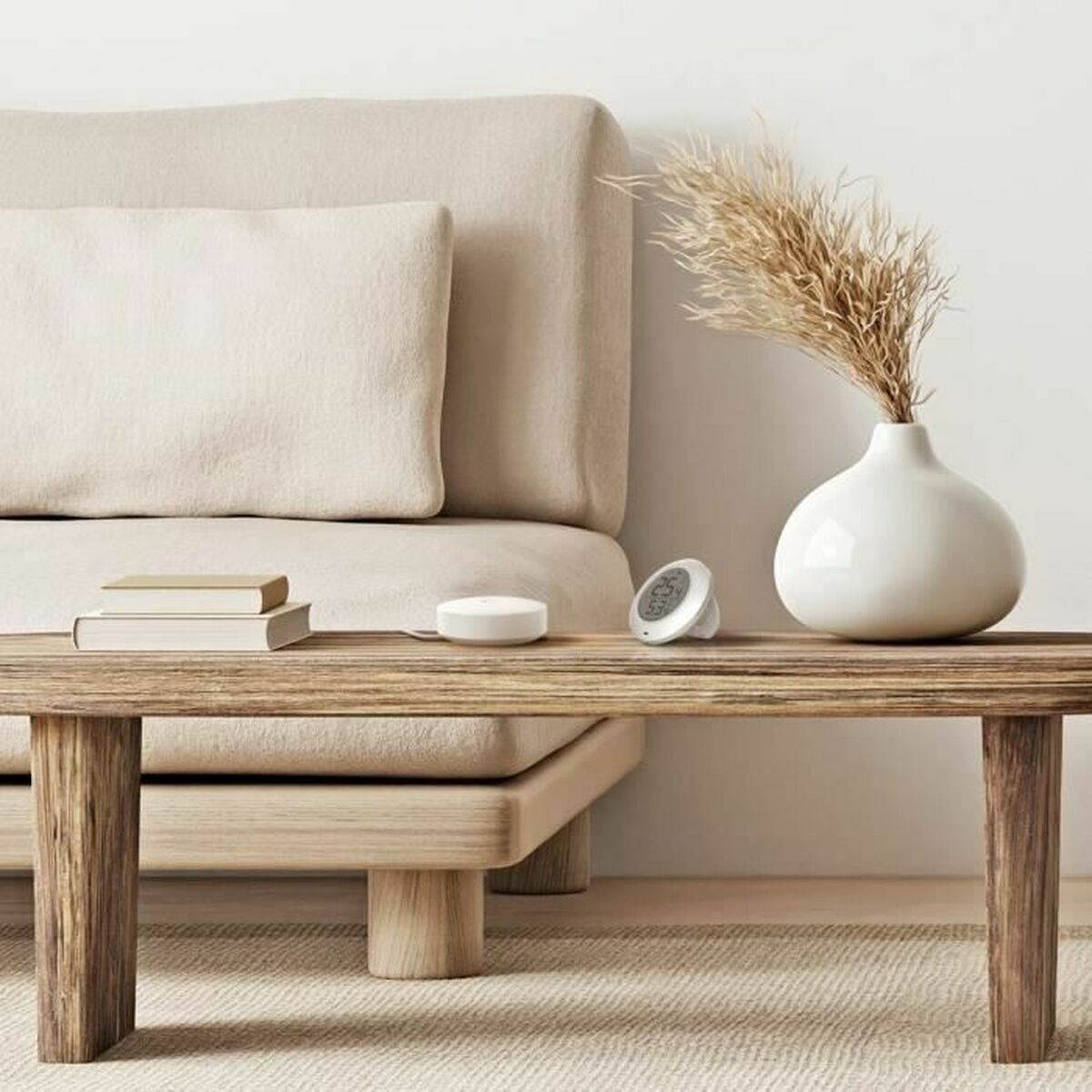 Thermomètre Numérique Ezviz CS-T51C-A0-BG