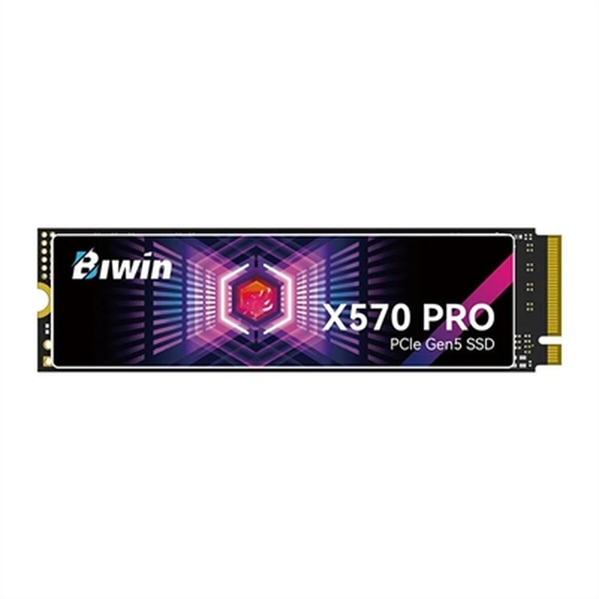 Disque dur Biwin X570 Pro 1 TB SSD