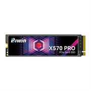 Disque dur Biwin X570 Pro 1 TB SSD