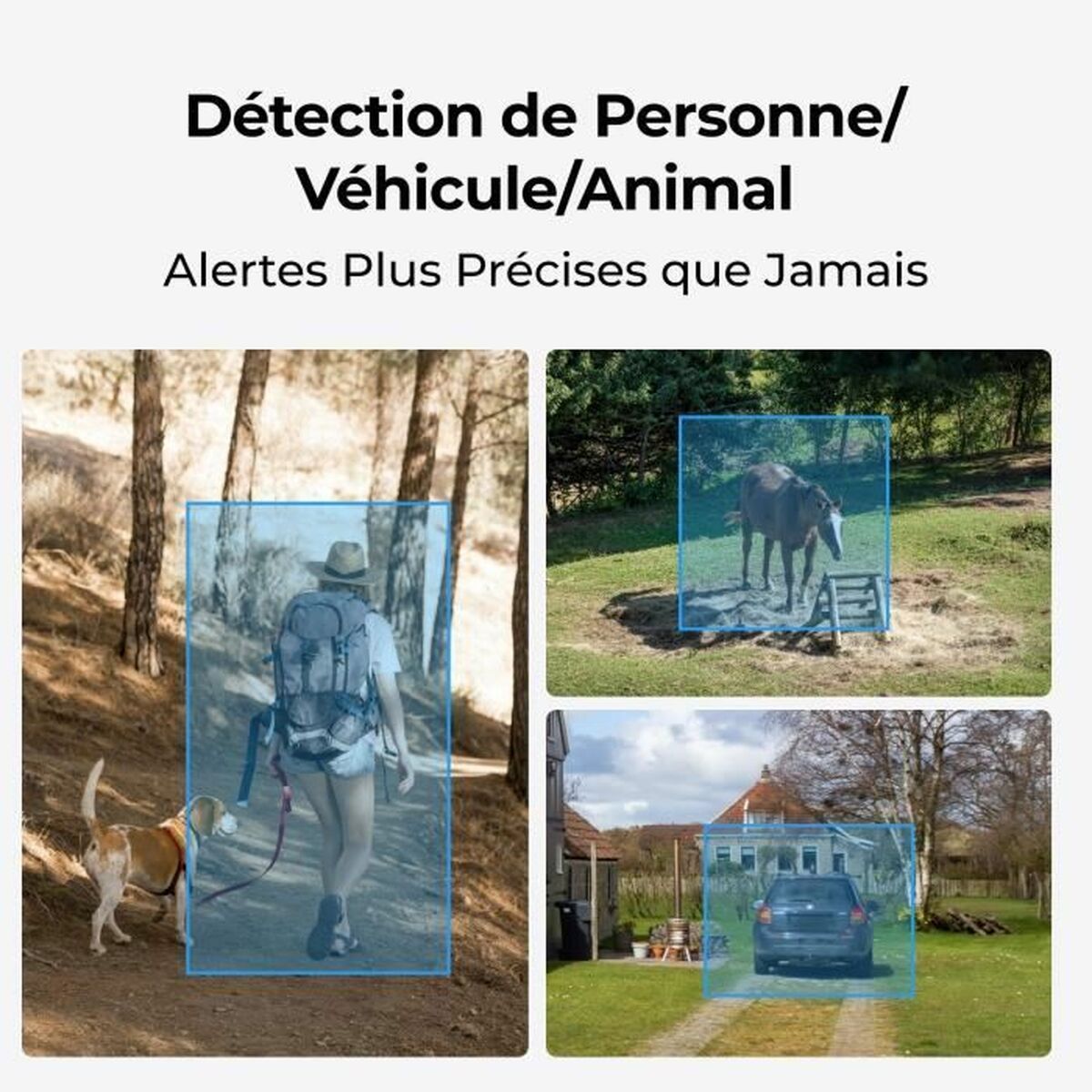 Camescope de surveillance Reolink