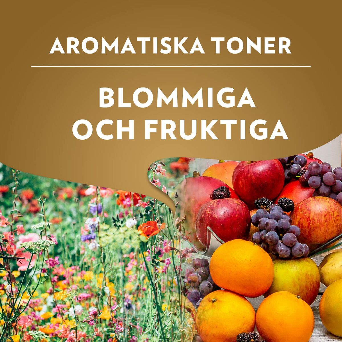 Café en grains Lavazza Qualità Oro 1kg