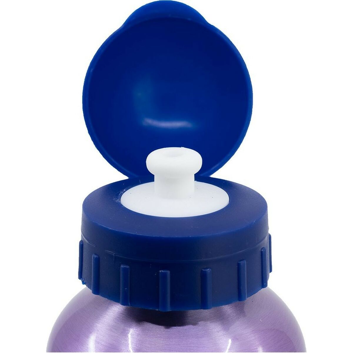 Bouteille d'eau Frozen CZ11261 530 ml Bleu Aluminium