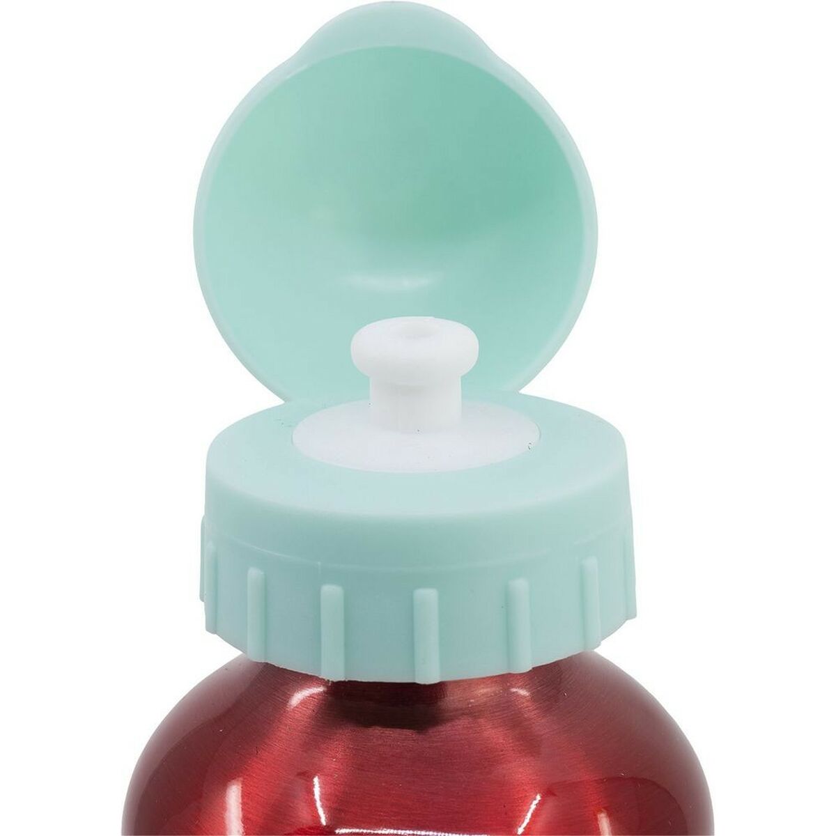 Bouteille d'eau Minnie Mouse CZ11263 530 ml Rouge Aluminium