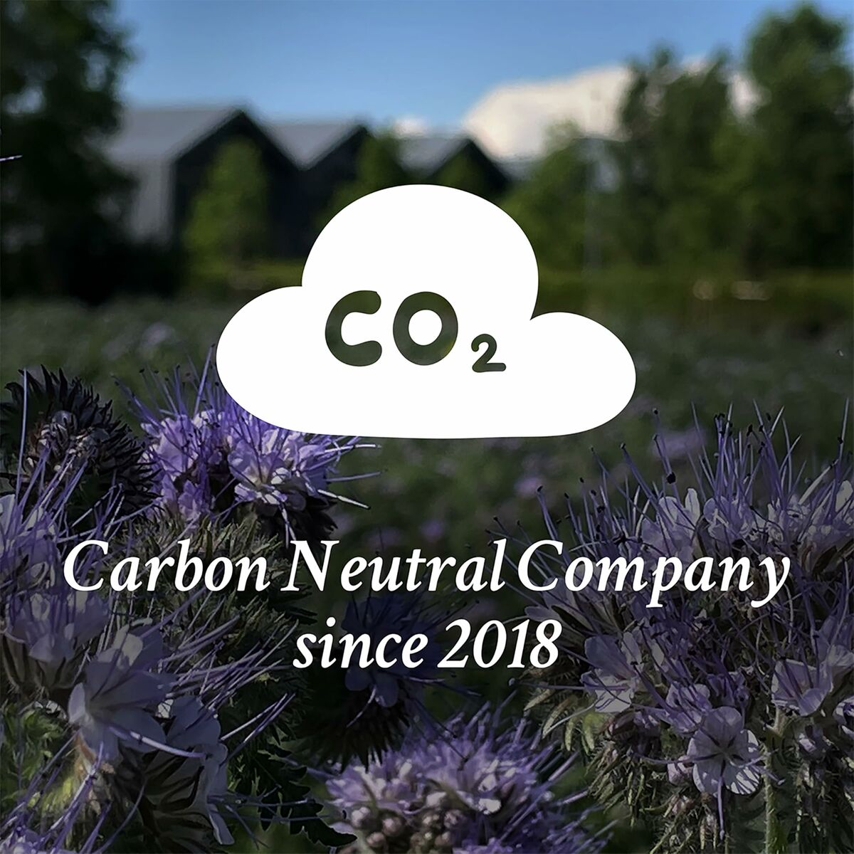 Gel Coiffant Davines 125 ml