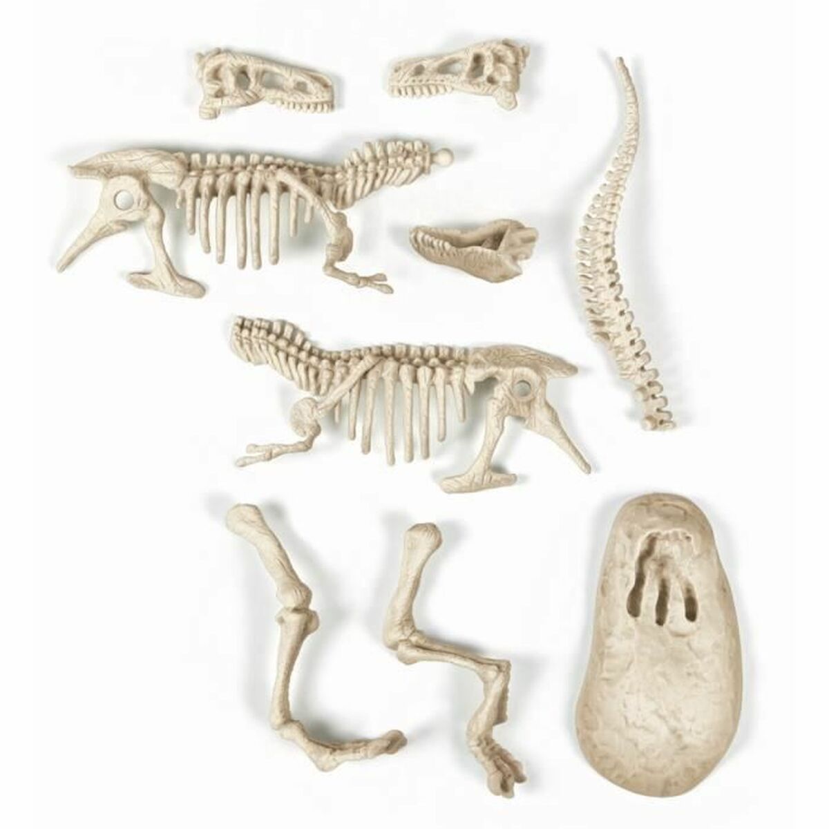 Jeu d'Excavation Clementoni T-Rex fosforescente