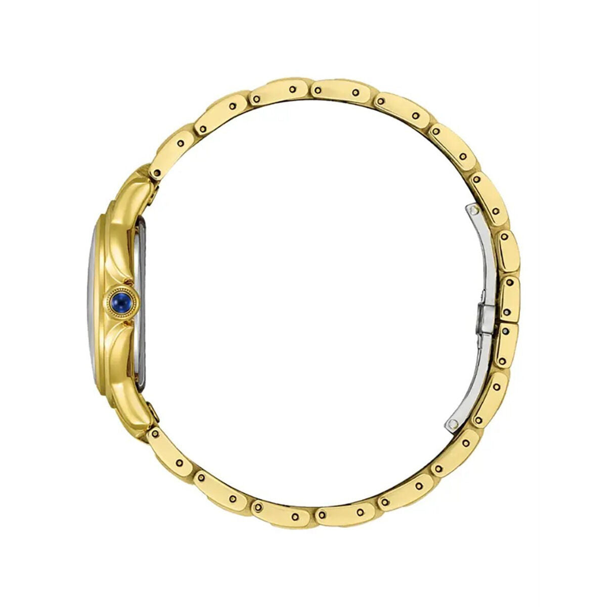 Montre Homme Citizen EM1162-52A Doré