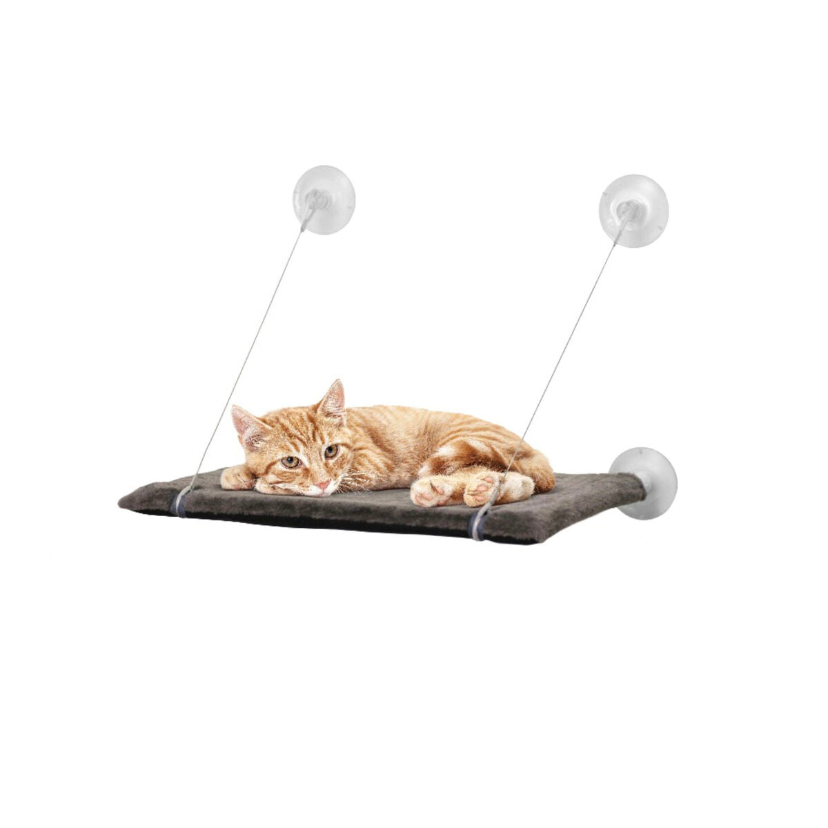 Lit pour chat United Pets