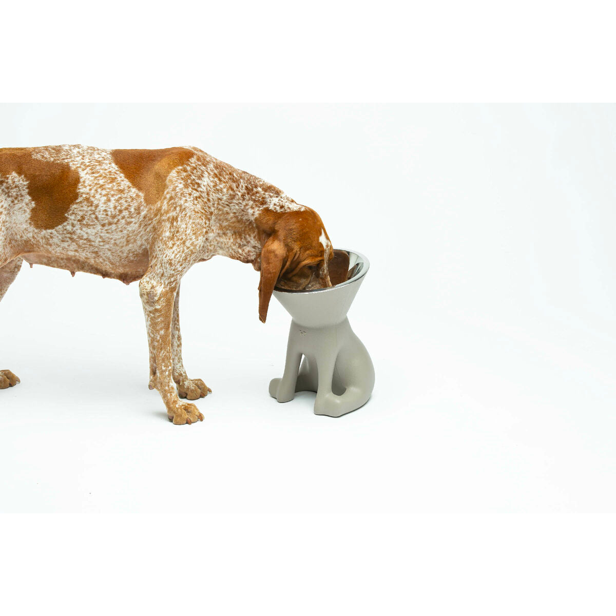 Mangeoire pour chiens United Pets Up Elisabeth Gris Acier inoxydable Polyéthylène 1 L