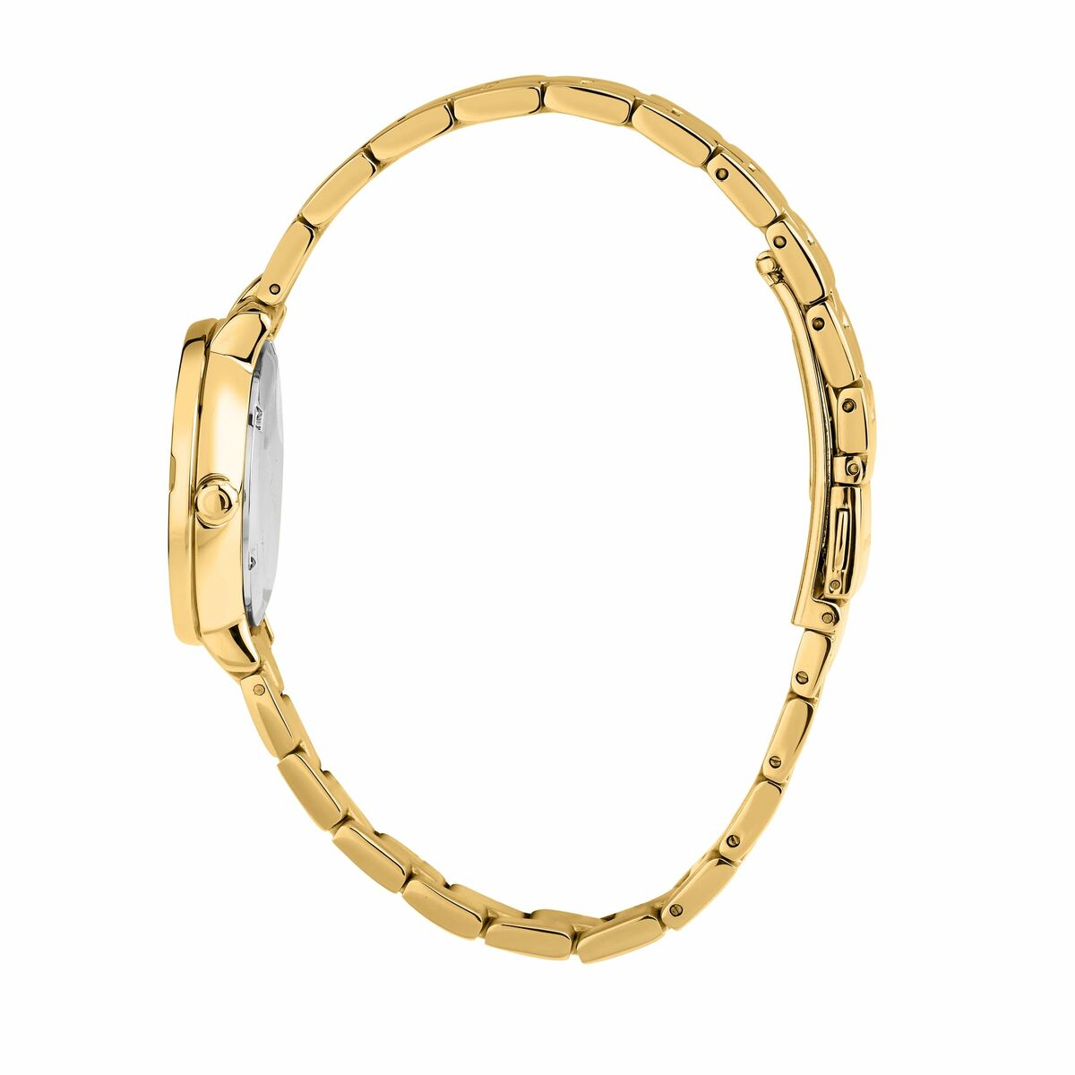 Montre Femme Trussardi R2453125503 (Ø 30 mm)