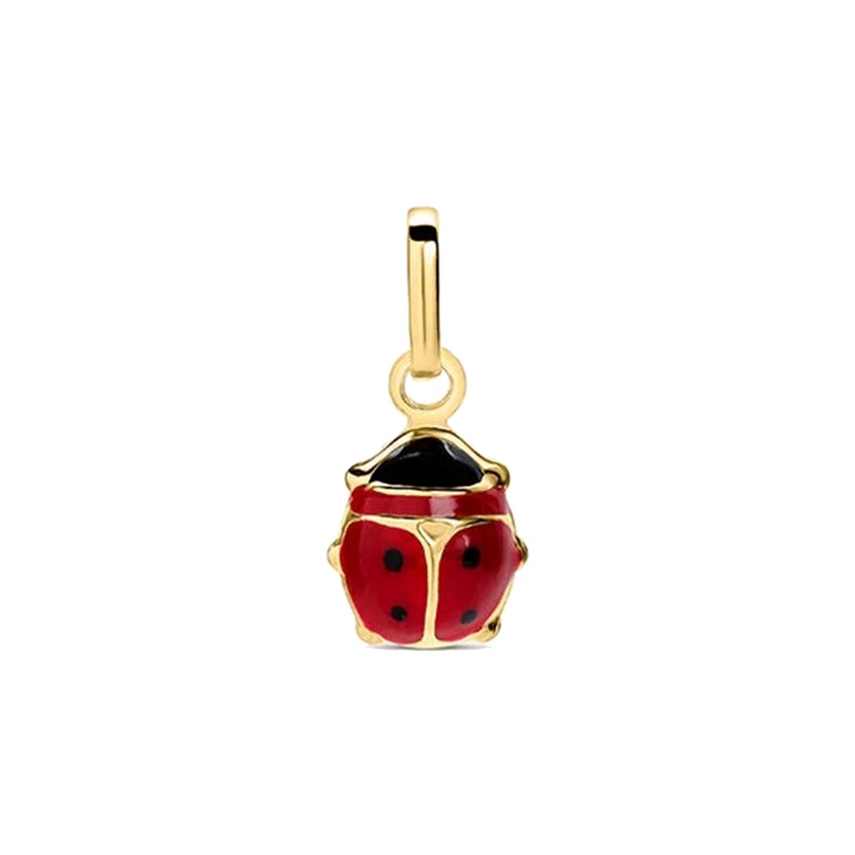 Pendentif Femme Stroili 1410273 Doré Rouge